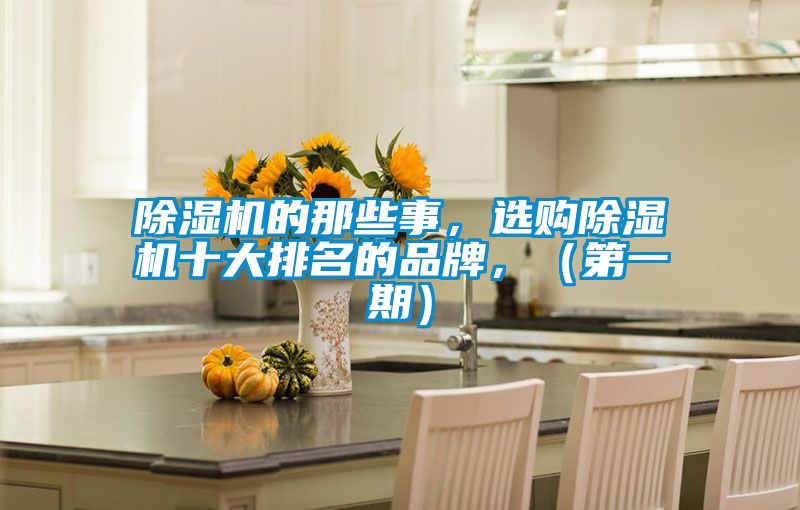除濕機的那些事，選購除濕機十大排名的品牌，（第一期）