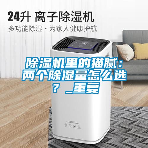 除濕機里的貓膩：兩個(gè)除濕量怎么選？_重復