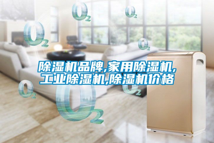 除濕機品牌,家用除濕機,工業(yè)除濕機,除濕機價(jià)格