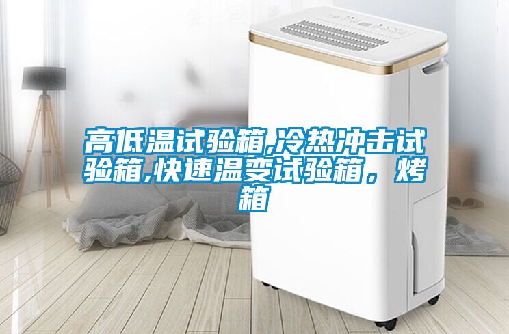 高低溫試驗箱,冷熱沖擊試驗箱,快速溫變試驗箱，烤箱