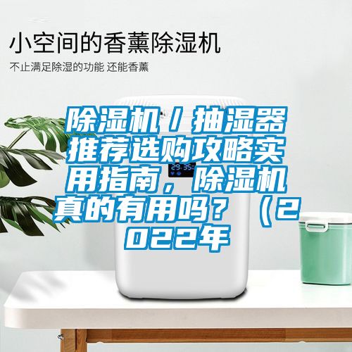 除濕機／抽濕器推薦選購攻略實(shí)用指南，除濕機真的有用嗎？（2022年