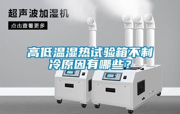 高低溫濕熱試驗箱不制冷原因有哪些？