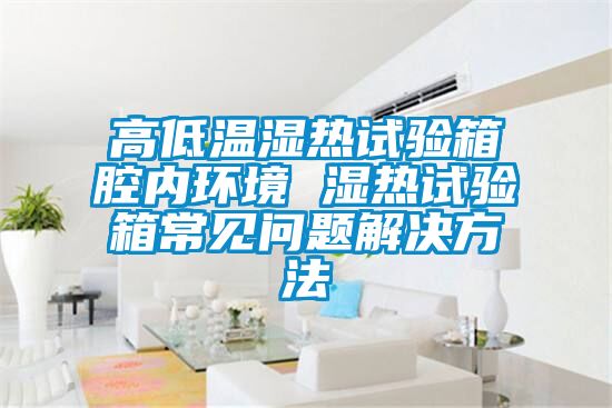 高低溫濕熱試驗箱腔內環(huán)境 濕熱試驗箱常見(jiàn)問(wèn)題解決方法