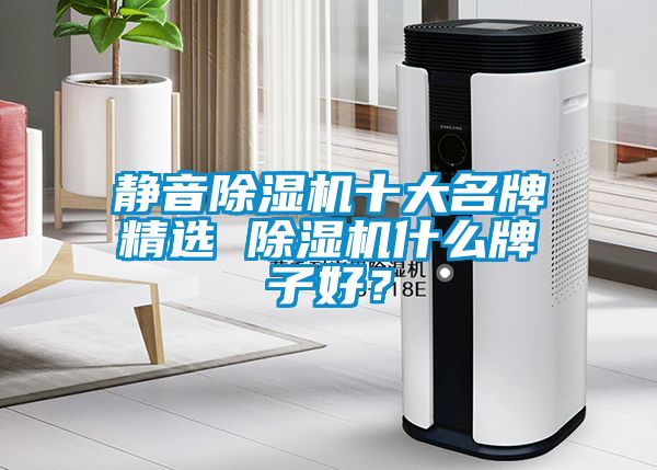 靜音除濕機十大名牌精選 除濕機什么牌子好？