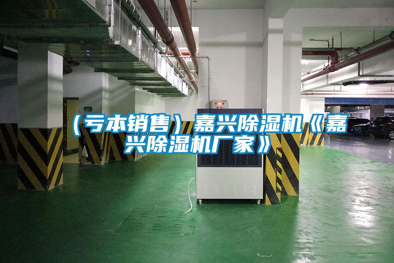 （虧本銷(xiāo)售）嘉興除濕機《嘉興除濕機廠(chǎng)家》