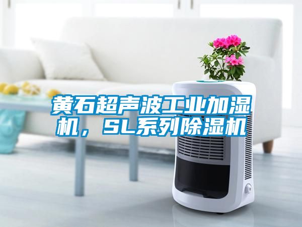 黃石超聲波工業(yè)加濕機，SL系列除濕機