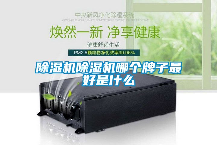 除濕機除濕機哪個(gè)牌子最好是什么