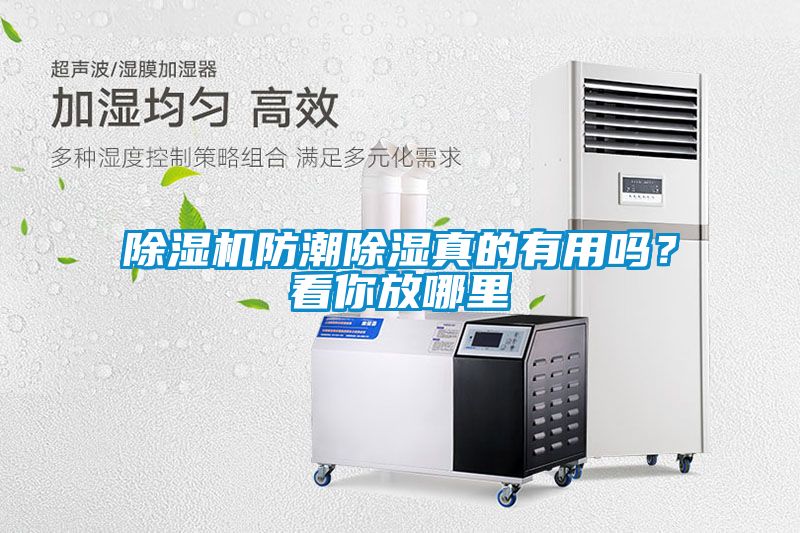 除濕機防潮除濕真的有用嗎？看你放哪里