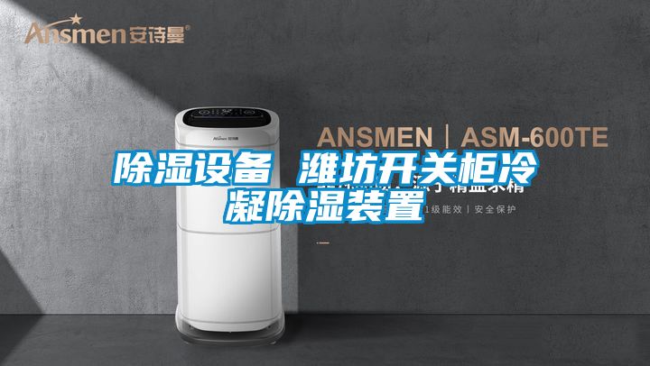 除濕設備 濰坊開(kāi)關(guān)柜冷凝除濕裝置