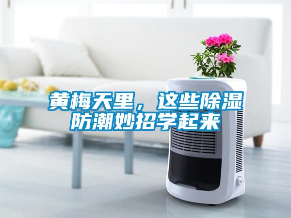 黃梅天里，這些除濕防潮妙招學(xué)起來(lái)