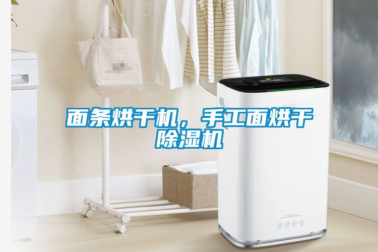 面條烘干機，手工面烘干除濕機