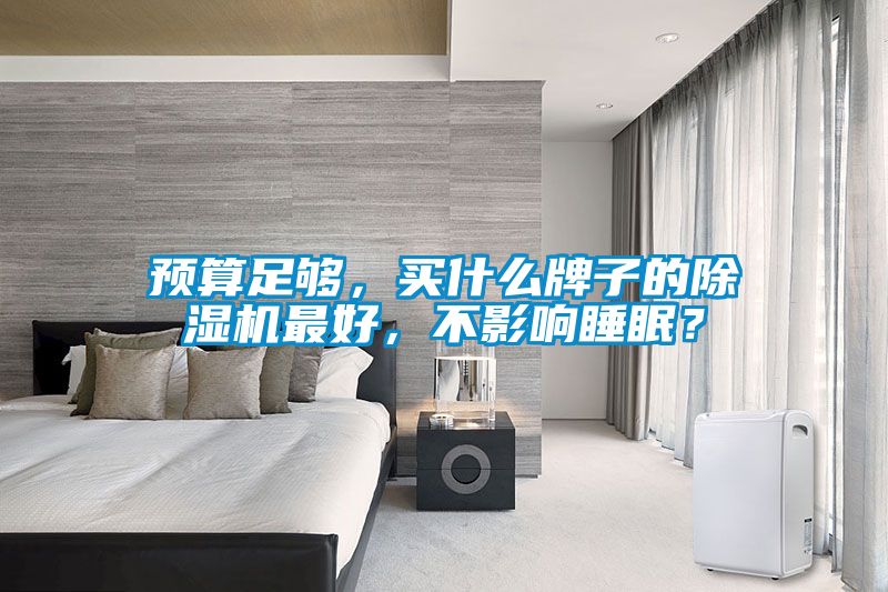預算足夠，買(mǎi)什么牌子的除濕機最好，不影響睡眠？