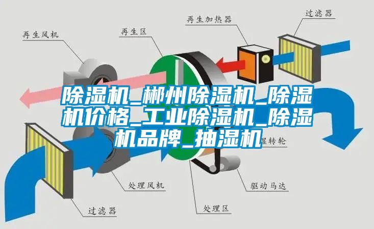 除濕機_郴州除濕機_除濕機價(jià)格_工業(yè)除濕機_除濕機品牌_抽濕機
