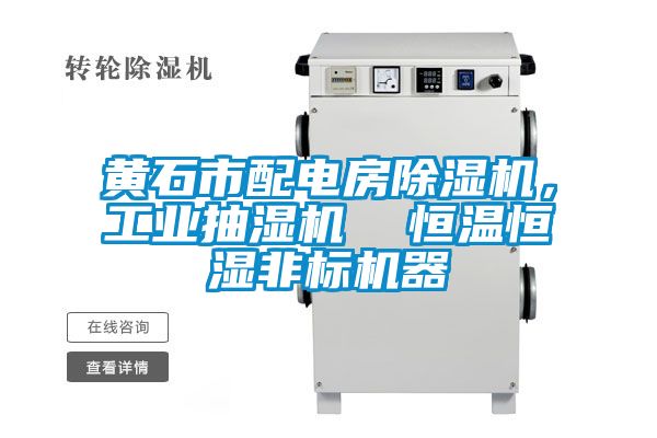黃石市配電房除濕機，工業(yè)抽濕機  恒溫恒濕非標機器