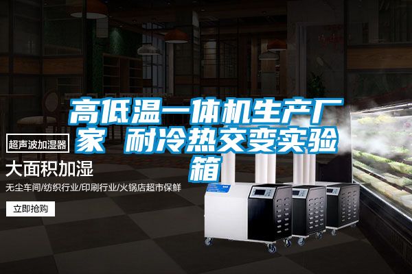 高低溫一體機生產(chǎn)廠(chǎng)家 耐冷熱交變實(shí)驗箱