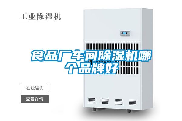 食品廠(chǎng)車(chē)間除濕機哪個(gè)品牌好