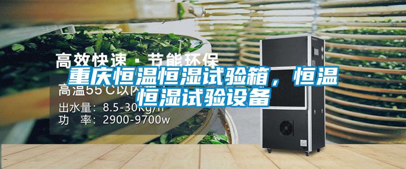重慶恒溫恒濕試驗箱，恒溫恒濕試驗設備