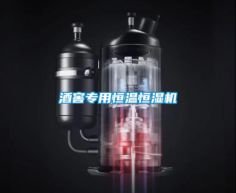 酒窖專(zhuān)用恒溫恒濕機