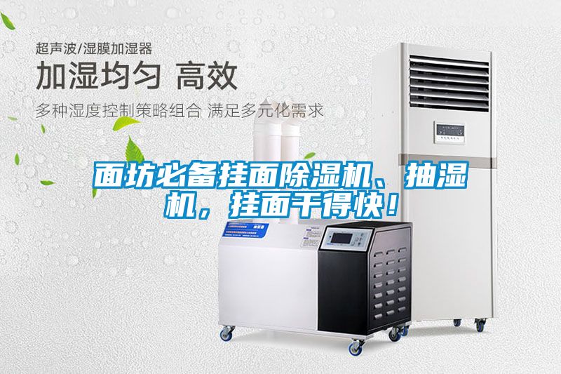 面坊必備掛面除濕機、抽濕機，掛面干得快！