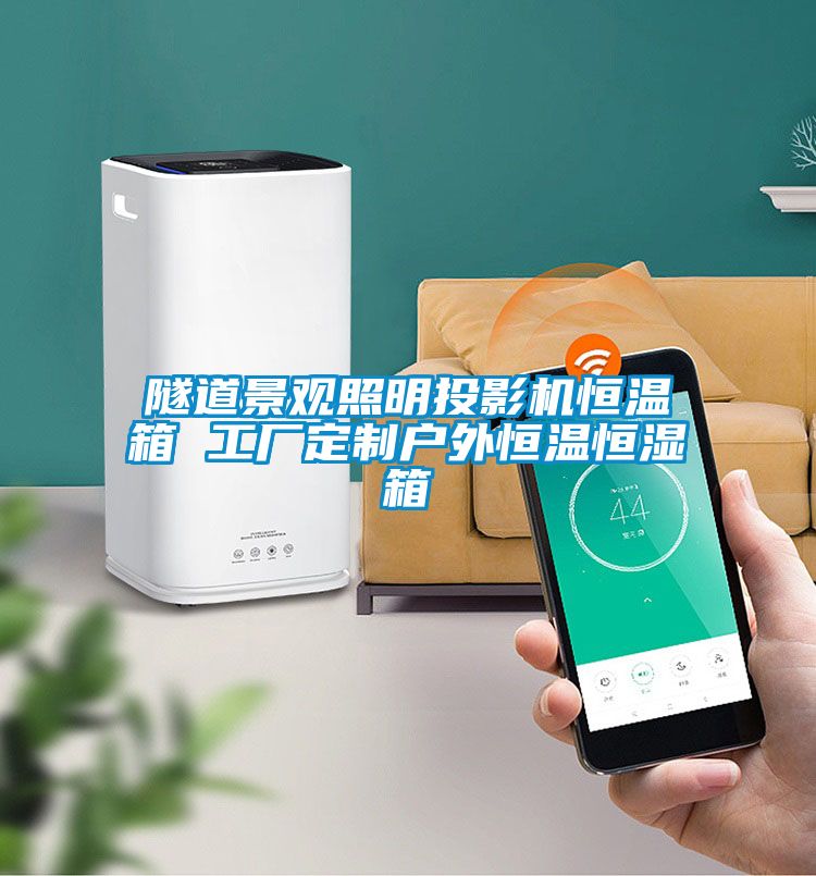 隧道景觀(guān)照明投影機恒溫箱 工廠(chǎng)定制戶(hù)外恒溫恒濕箱