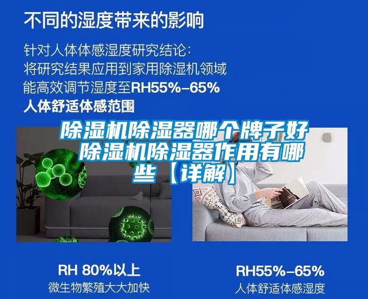 除濕機除濕器哪個(gè)牌子好 除濕機除濕器作用有哪些【詳解】