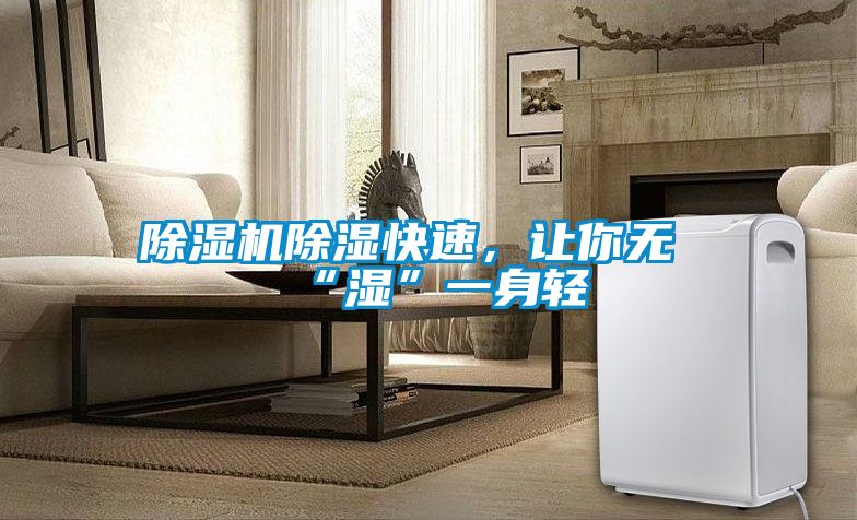 除濕機除濕快速，讓你無(wú)“濕”一身輕