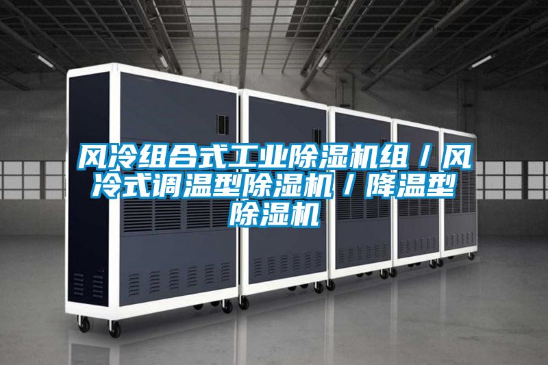風(fēng)冷組合式工業(yè)除濕機組／風(fēng)冷式調溫型除濕機／降溫型除濕機