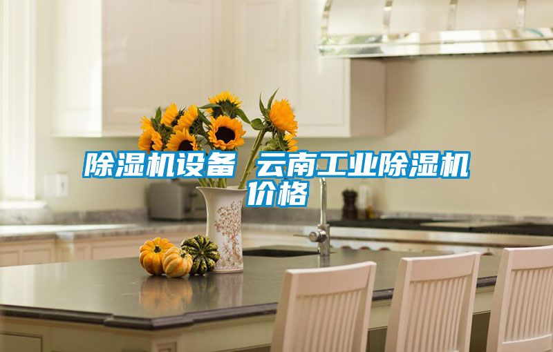 除濕機設備 云南工業(yè)除濕機價(jià)格