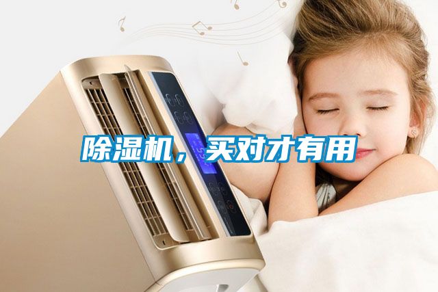 除濕機，買(mǎi)對才有用