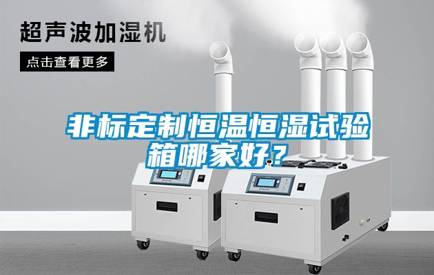 非標定制恒溫恒濕試驗箱哪家好？