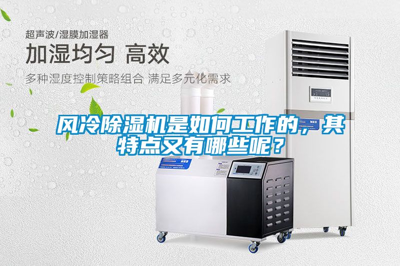 風(fēng)冷除濕機是如何工作的，其特點(diǎn)又有哪些呢？