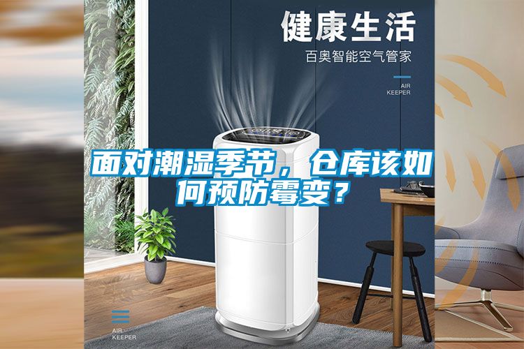 面對潮濕季節，倉庫該如何預防霉變？