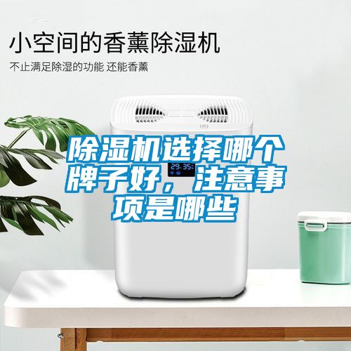 除濕機選擇哪個(gè)牌子好，注意事項是哪些