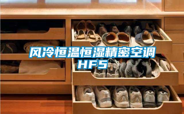 風(fēng)冷恒溫恒濕精密空調HF5