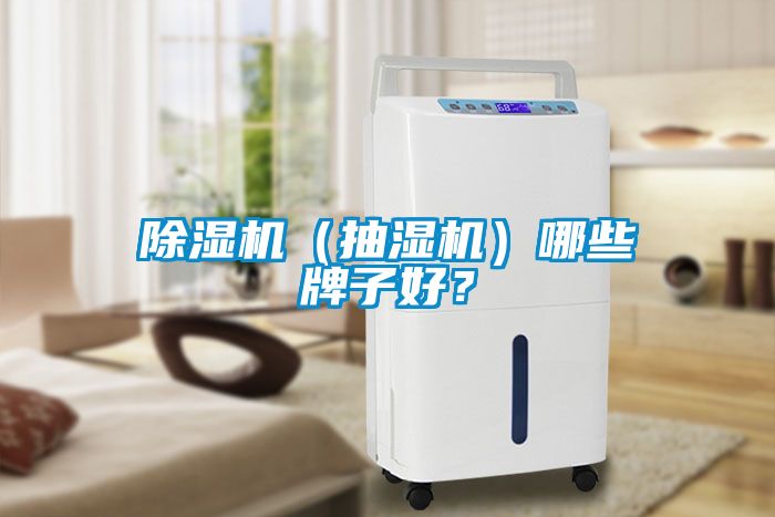 除濕機（抽濕機）哪些牌子好？