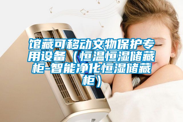 館藏可移動(dòng)文物保護專(zhuān)用設備（恒溫恒濕儲藏柜-智能凈化恒濕儲藏柜）