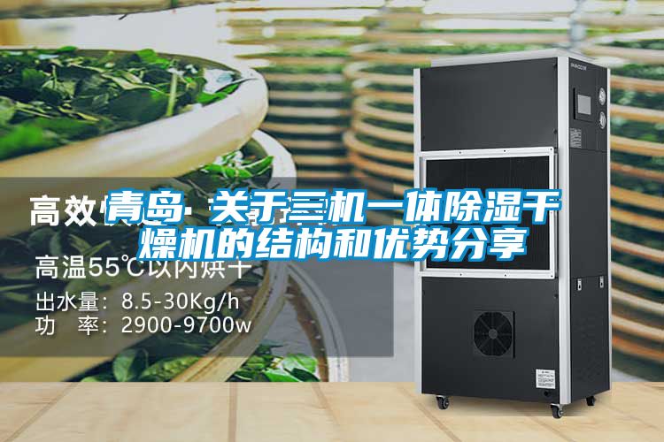 青島 關(guān)于三機一體除濕干燥機的結構和優(yōu)勢分享