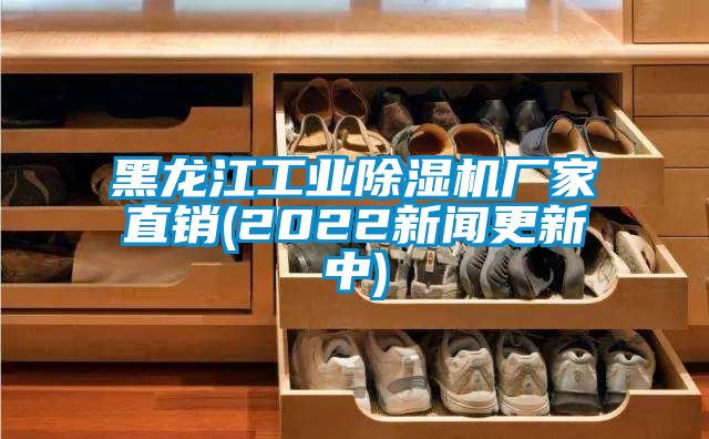 黑龍江工業(yè)除濕機廠(chǎng)家直銷(xiāo)(2022新聞更新中)