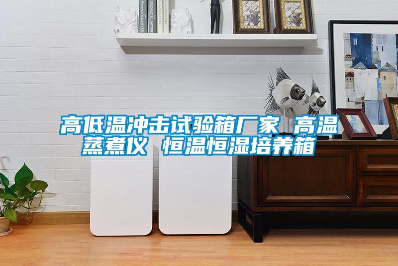 高低溫沖擊試驗箱廠(chǎng)家 高溫蒸煮儀 恒溫恒濕培養箱