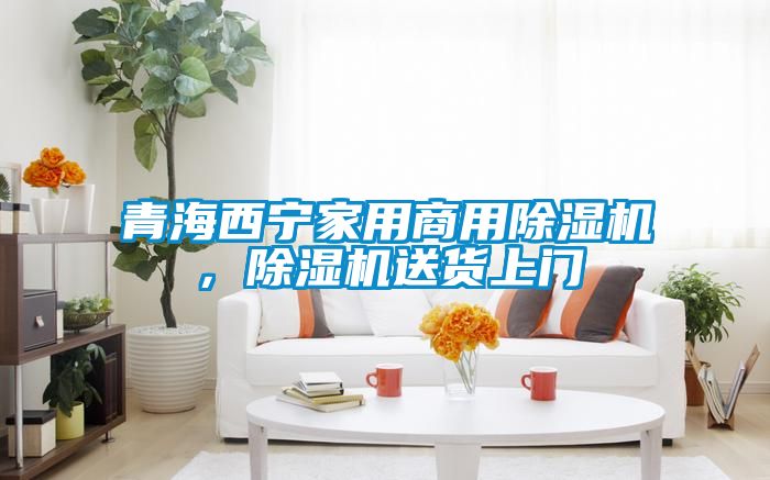 青海西寧家用商用除濕機，除濕機送貨上門(mén)