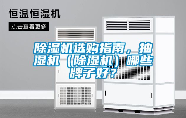 除濕機選購指南，抽濕機（除濕機）哪些牌子好？