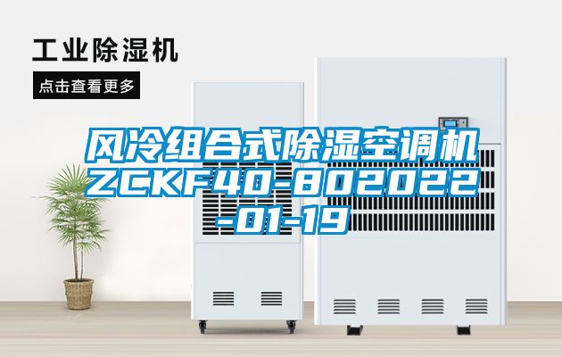 風(fēng)冷組合式除濕空調機ZCKF40-802022-01-19
