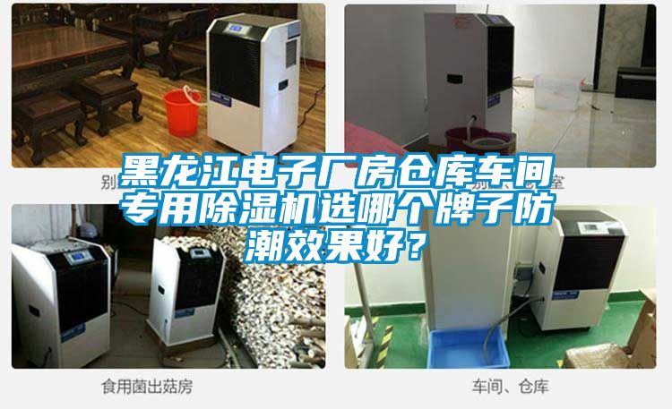 黑龍江電子廠(chǎng)房倉庫車(chē)間專(zhuān)用除濕機選哪個(gè)牌子防潮效果好？
