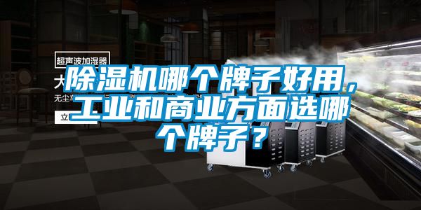 除濕機哪個(gè)牌子好用，工業(yè)和商業(yè)方面選哪個(gè)牌子？