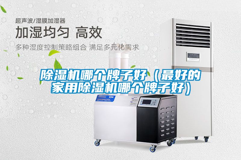 除濕機哪個(gè)牌子好（最好的家用除濕機哪個(gè)牌子好）