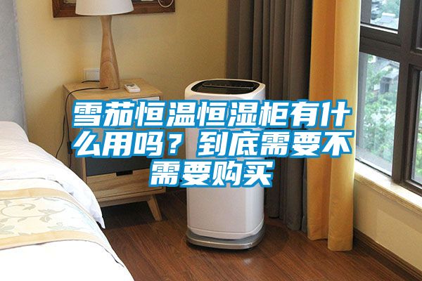 雪茄恒溫恒濕柜有什么用嗎？到底需要不需要購買(mǎi)