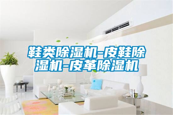鞋類(lèi)除濕機-皮鞋除濕機-皮革除濕機