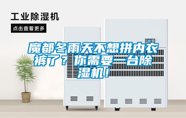 魔都冬雨天不想拼內衣褲了？你需要一臺除濕機！
