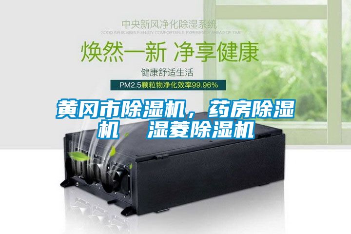 黃岡市除濕機，藥房除濕機  濕菱除濕機