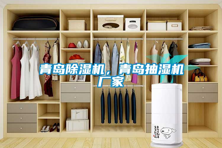 青島除濕機，青島抽濕機廠(chǎng)家
